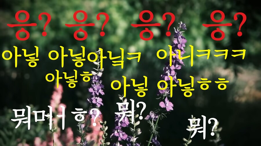 유튜브) 조카의 성장이 당황스러운 삼촌들_17.png