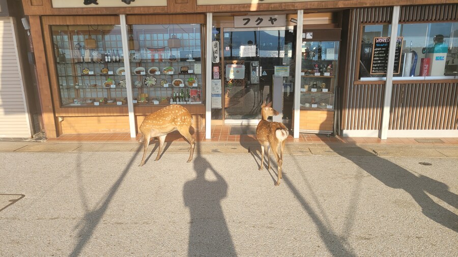 인생 최초의 일본 관서 지방 솔플 이야기 (4/6)_19.jpg