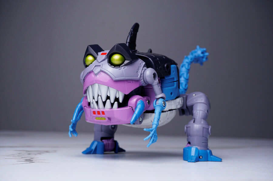 ss86 노오(샤크티콘)_5.jpg