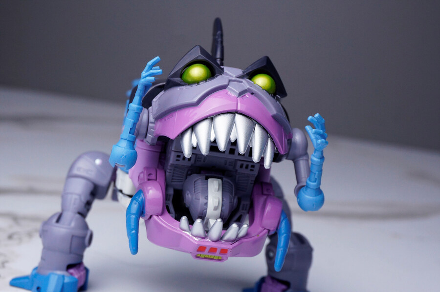 ss86 노오(샤크티콘)_6.jpg