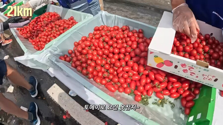 유튜브) 홋카이도 먹방 마라톤(스압)_59.png