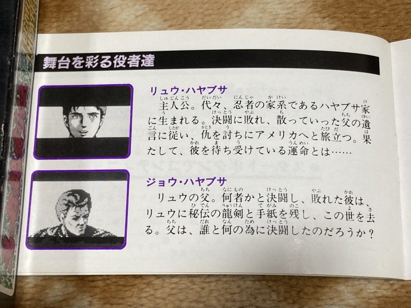 닌자용검전(忍者龍剣伝) NINJA RYUKENDEN_29.jpg