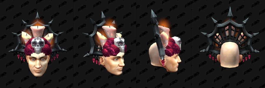 와우 11.2.5 신규 망자의 날 변신 - 꽃 왕관, 해골 헬멧_1.jpg