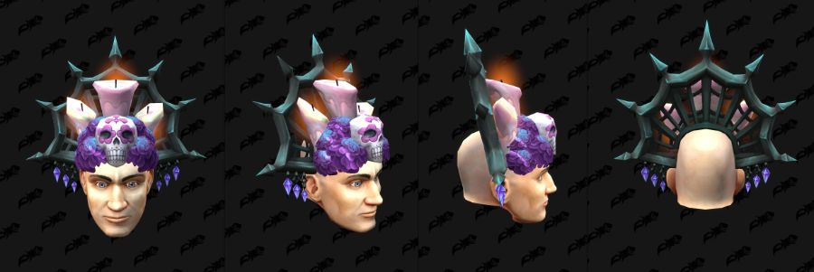 와우 11.2.5 신규 망자의 날 변신 - 꽃 왕관, 해골 헬멧_4.jpg