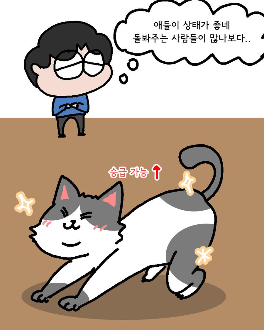 달리기와 공원, 윈터솔져 그리고 고양이.Manhwa_5.png