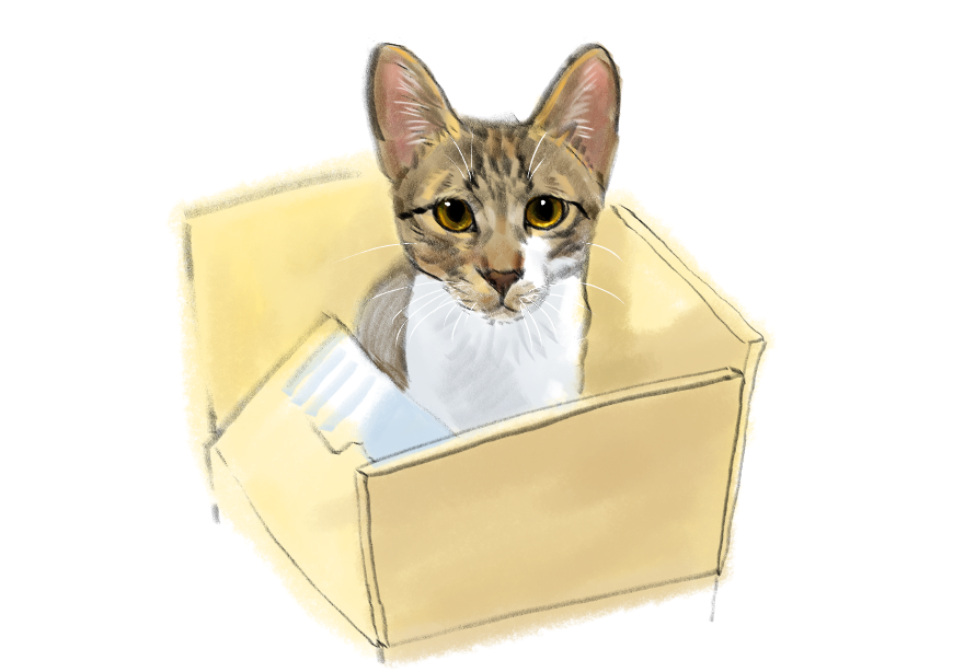 고양이) 넘으집 고양이_1.png