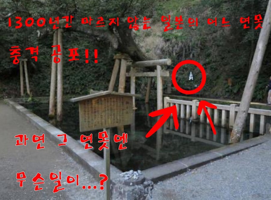 사진 필터와 썸네일의 중요성.jpg_5.jpg