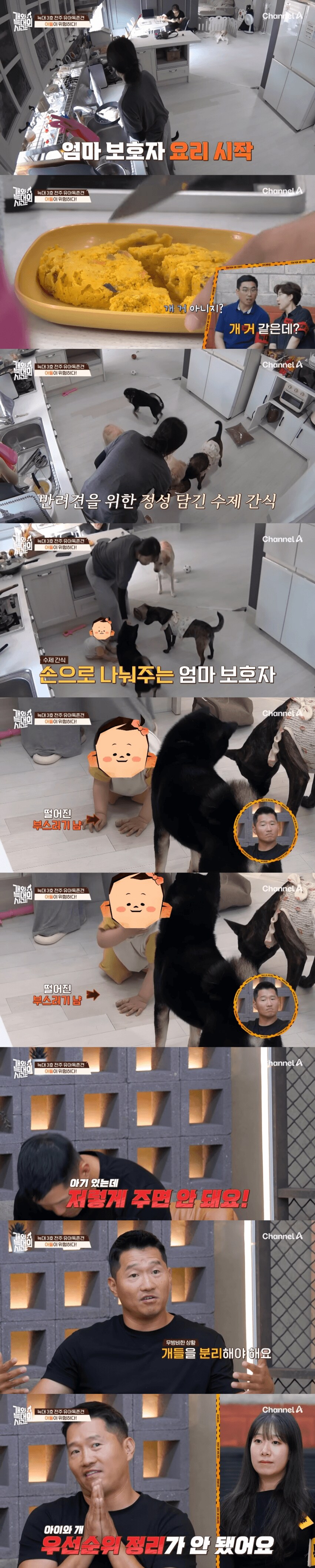솔찍히 정신병으로 밖에 안보임.._2.png