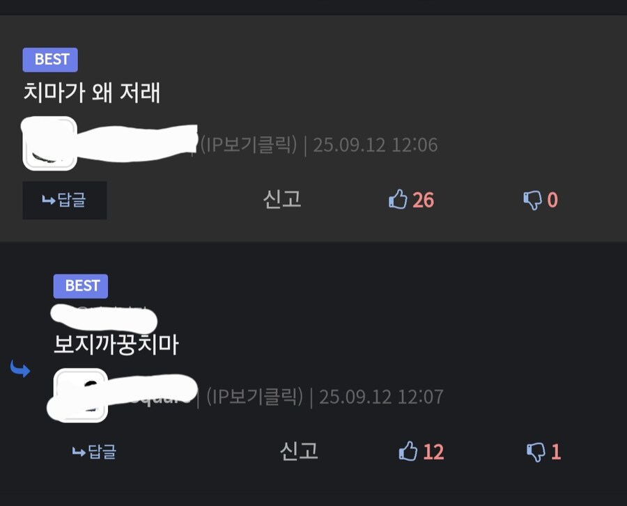디씨놈들 언어오염 그만시키라고_2.jpg