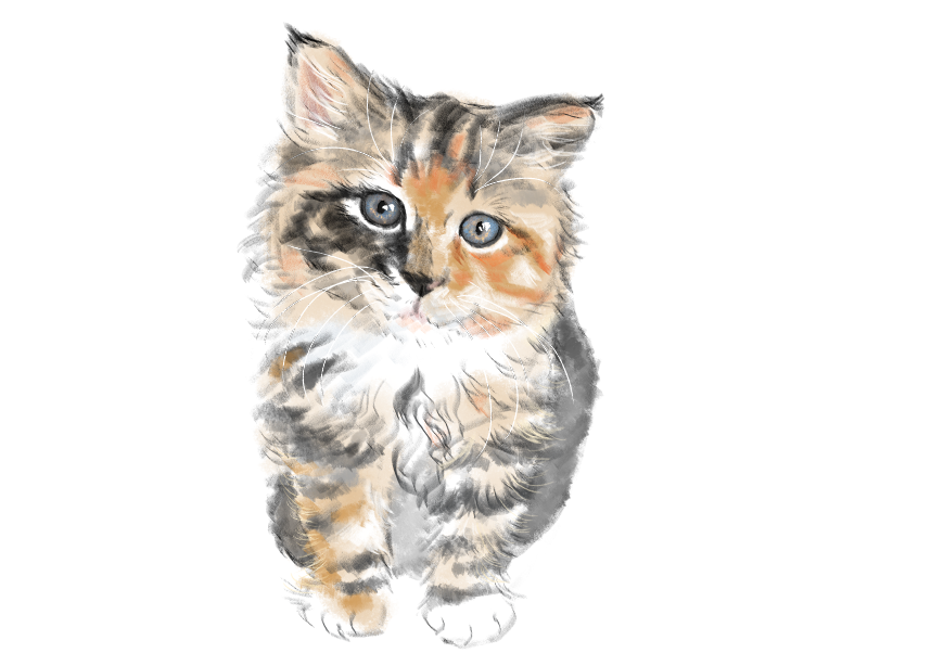 고양이) 넘으집 고양이_1.png