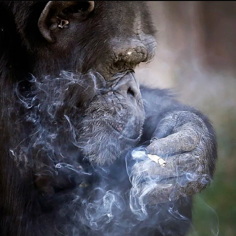 엑스맨) 영화 시리즈 최대의 강점이자 한계점_12.jpg