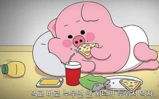 진짜 후회되네_1.jpg