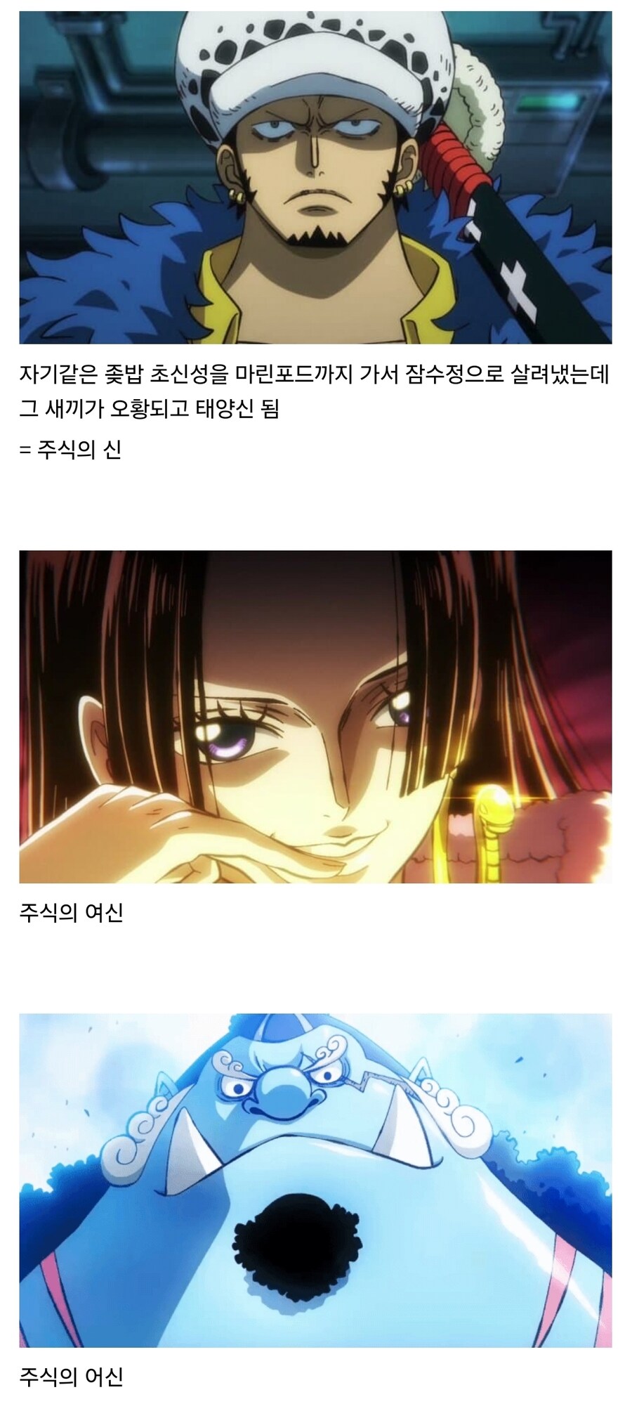 원피스 전 왕하칠무해들 중 주식의 신 3명jpg