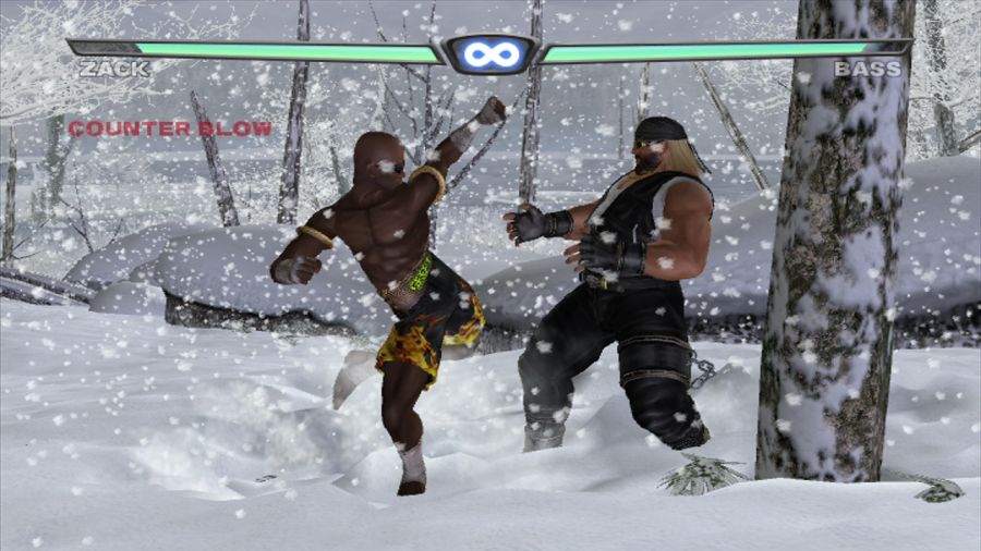 DEAD OR ALIVE 3_17.jpg