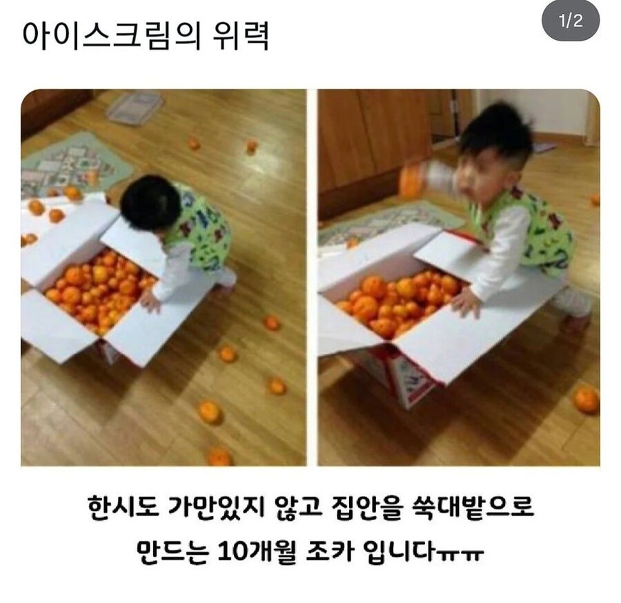 아이스크림의 위력.jpg_1.jpg