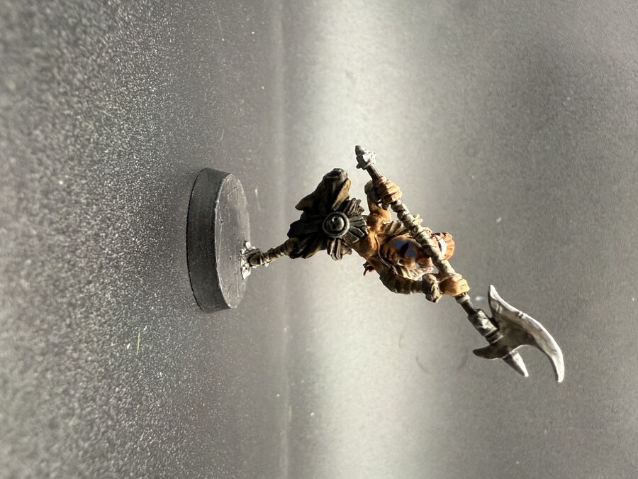 보드게임)다키스트 던전 도색-2(영웅)_4.jpg