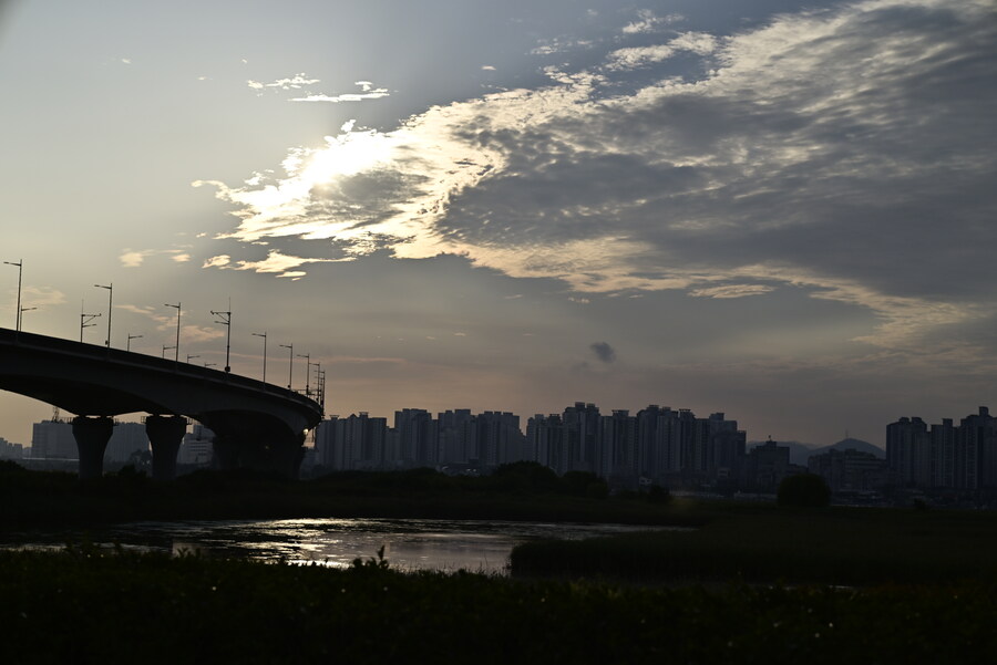 을숙도 (사진많음)_23.jpg