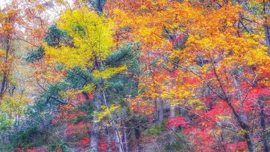 이번 가을엔 설악산 공룡능선으로 가보자고_11.jpg
