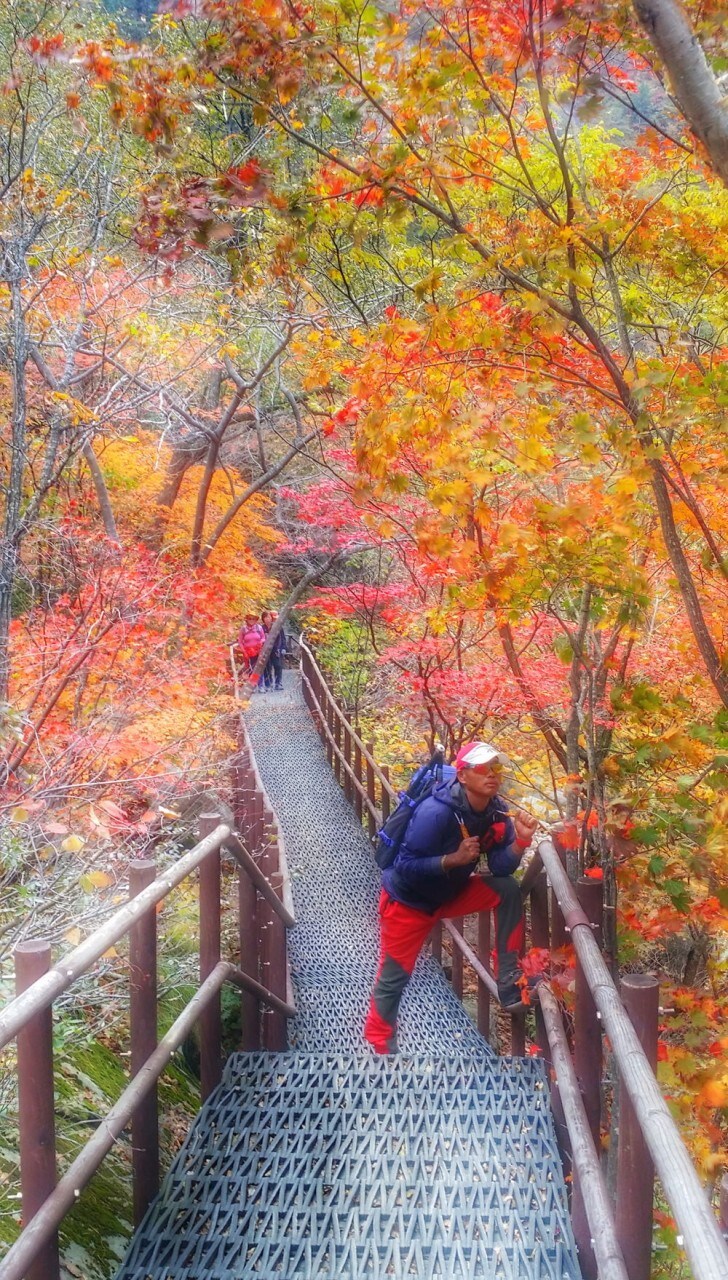 이번 가을엔 설악산 공룡능선으로 가보자고_13.jpg