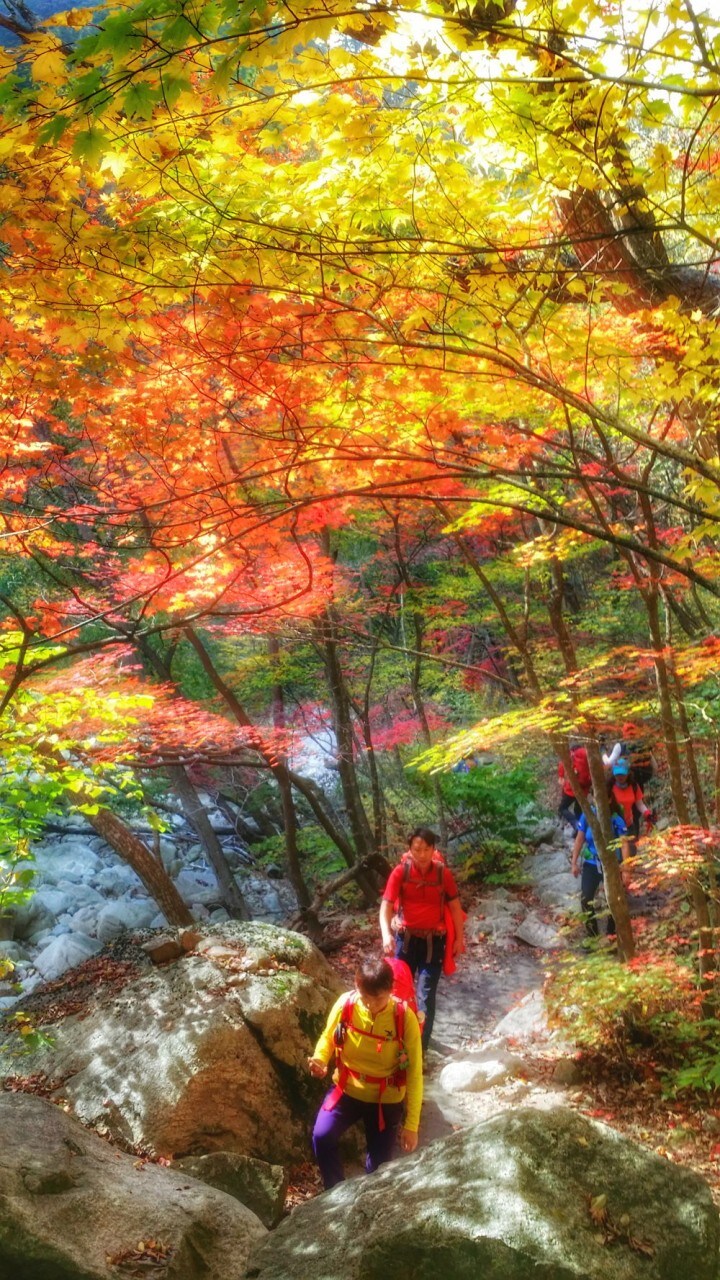 이번 가을엔 설악산 공룡능선으로 가보자고_18.jpg