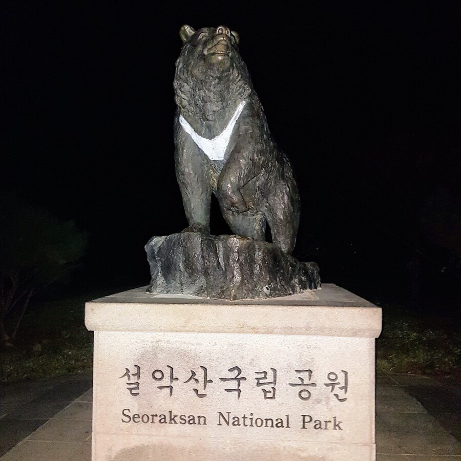 이번 가을엔 설악산 공룡능선으로 가보자고_36.jpg