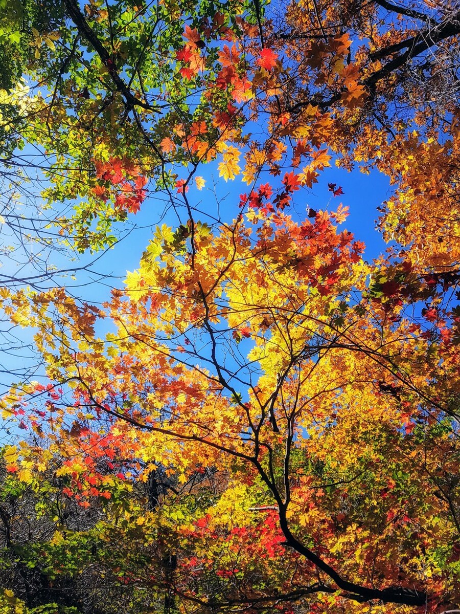 이번 가을엔 설악산 공룡능선으로 가보자고_74.jpg
