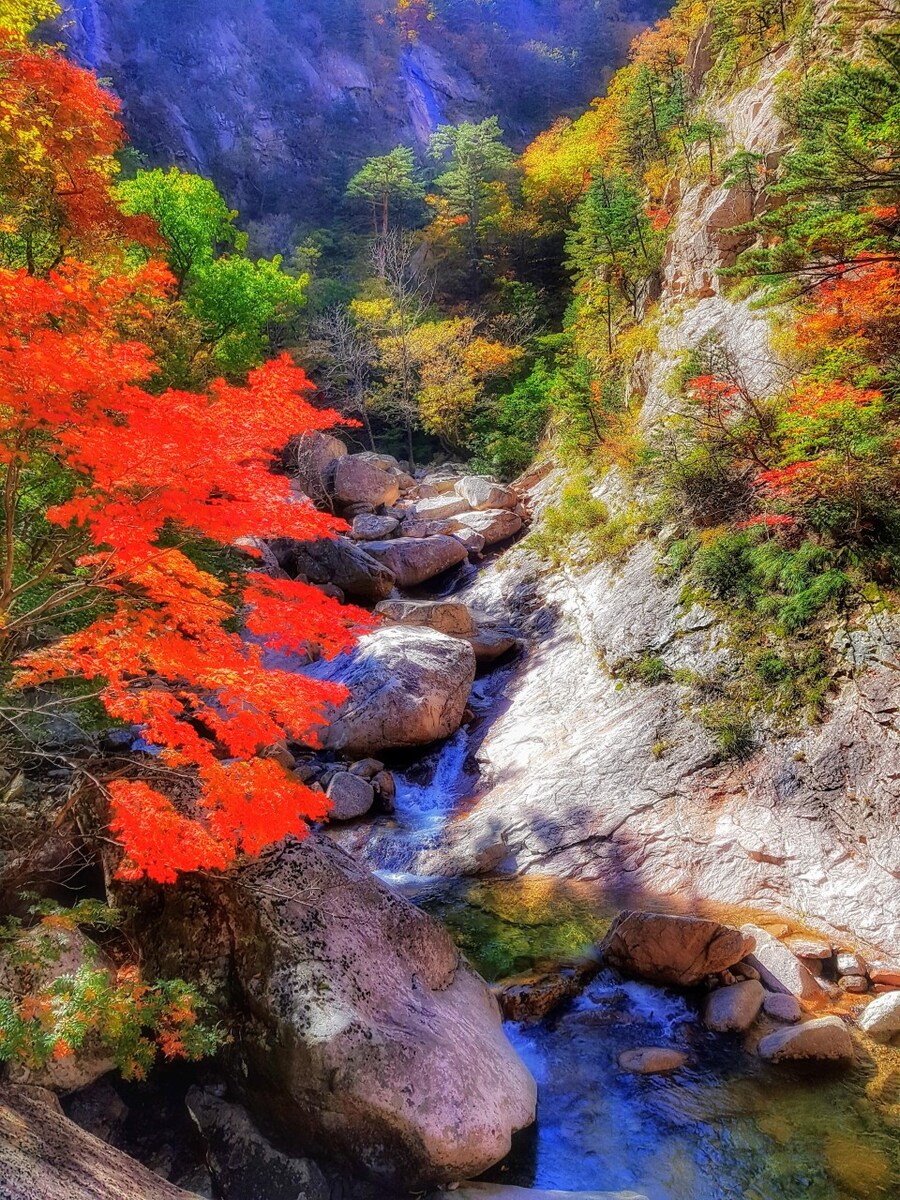 이번 가을엔 설악산 공룡능선으로 가보자고_82.jpg