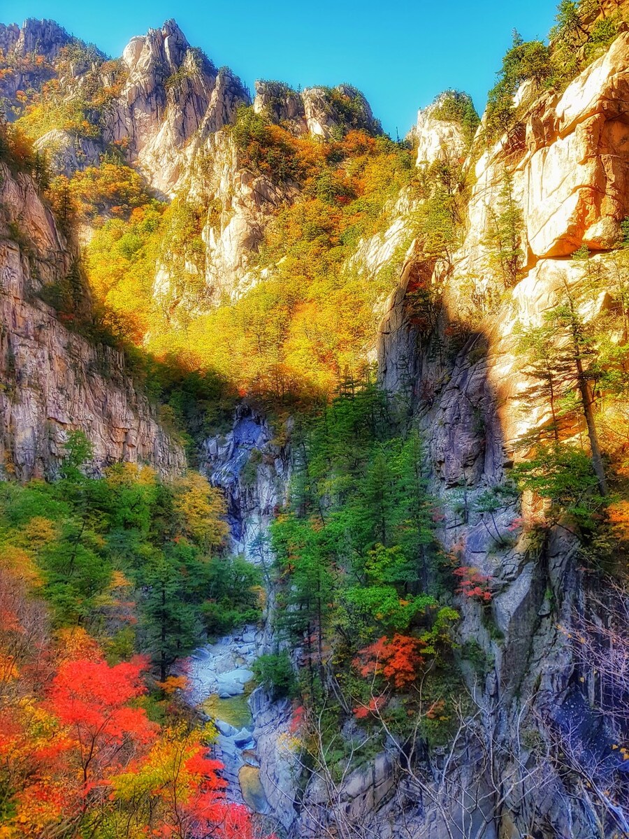 이번 가을엔 설악산 공룡능선으로 가보자고_87.jpg