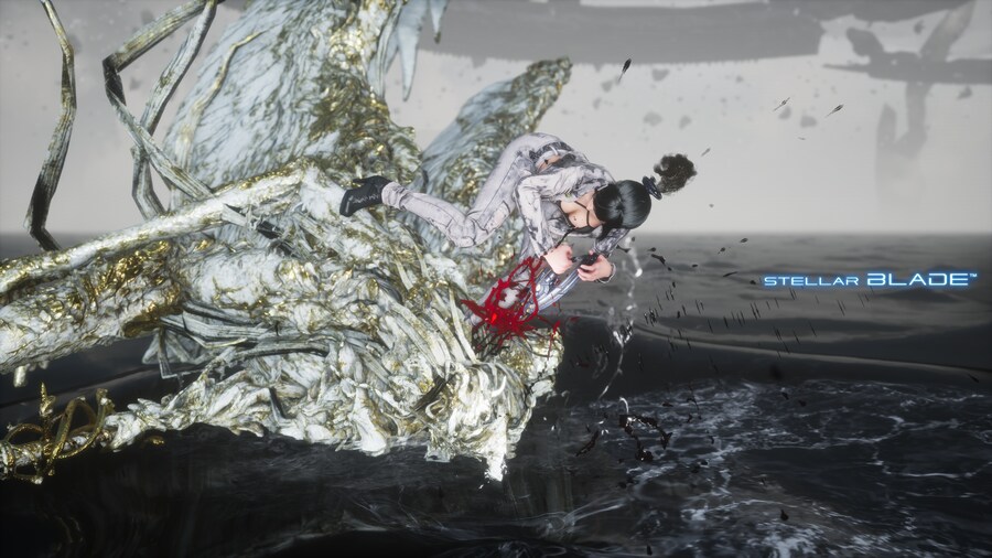 까마귀 프로비 엘더_5.png