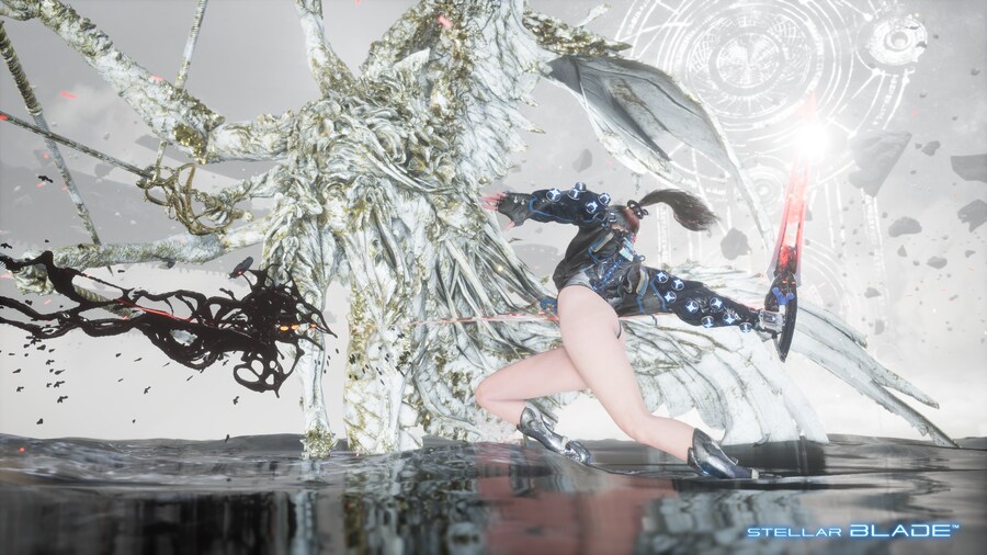 까마귀 프로비 엘더_7.png