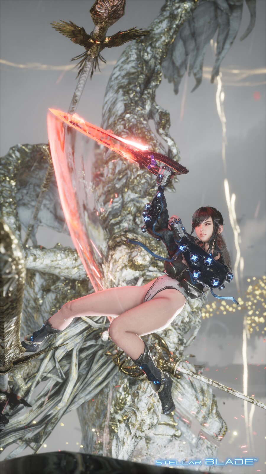 까마귀 프로비 엘더_8.png