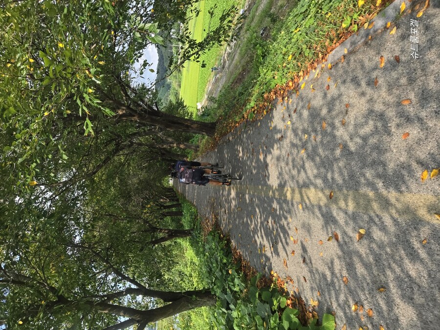 가을에 접어들었어요_2.jpg