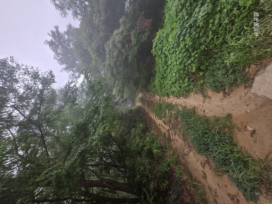 가을에 접어들었어요_3.jpg