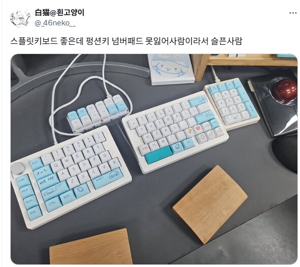 트위터 반갈죽 키보드 인증붐.jpg_2.png