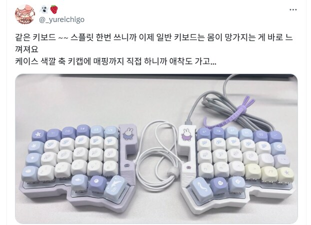트위터 반갈죽 키보드 인증붐.jpg_5.png
