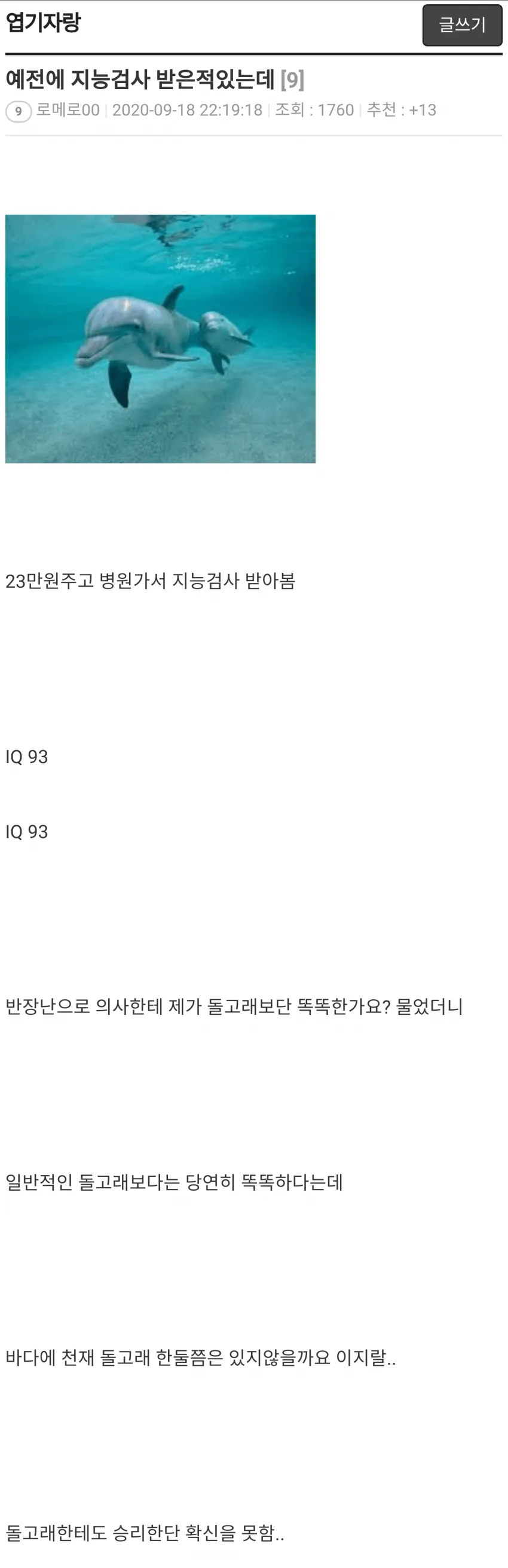 '의사선생님 제가 돌고래보단 똑똑한가요?'_1.webp