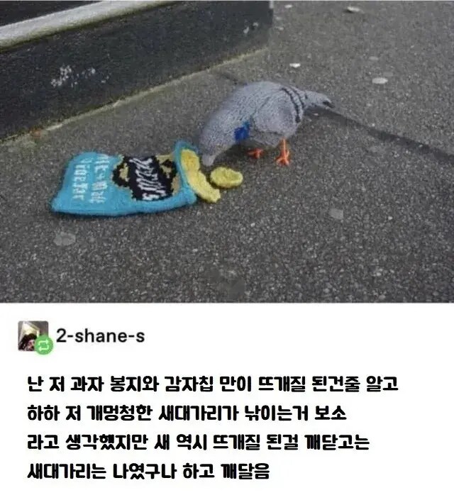 가짜 과자에 낚이는 새대가리.jpg_1.png