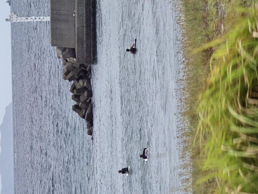 9만원 짜리 일본 왕복 비행기 티켓 썰. jpg_4.jpg