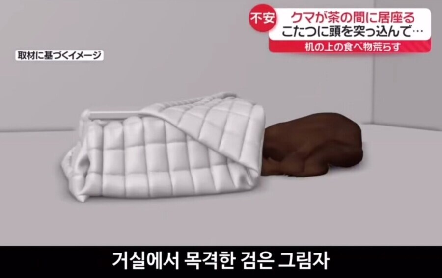 일본의 황당한 불법침입 사례_2.jpg