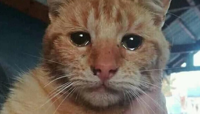 그래 우리 유게이 동생들 차해_1.jpg