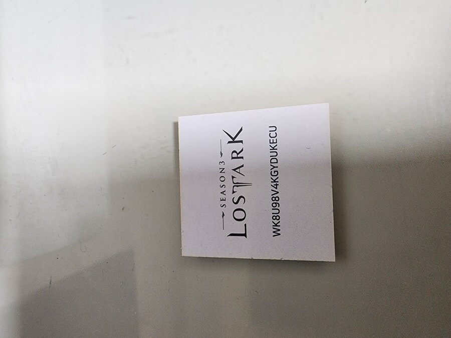 로스트아크 하는 유게이들 있냐(사용 완료)_2.jpg