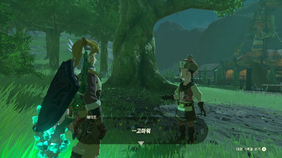 젤다의 전설 티어즈 오브 더 킹덤_6.png