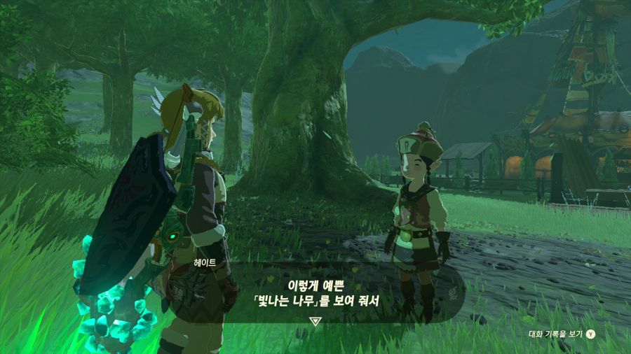 젤다의 전설 티어즈 오브 더 킹덤_7.png