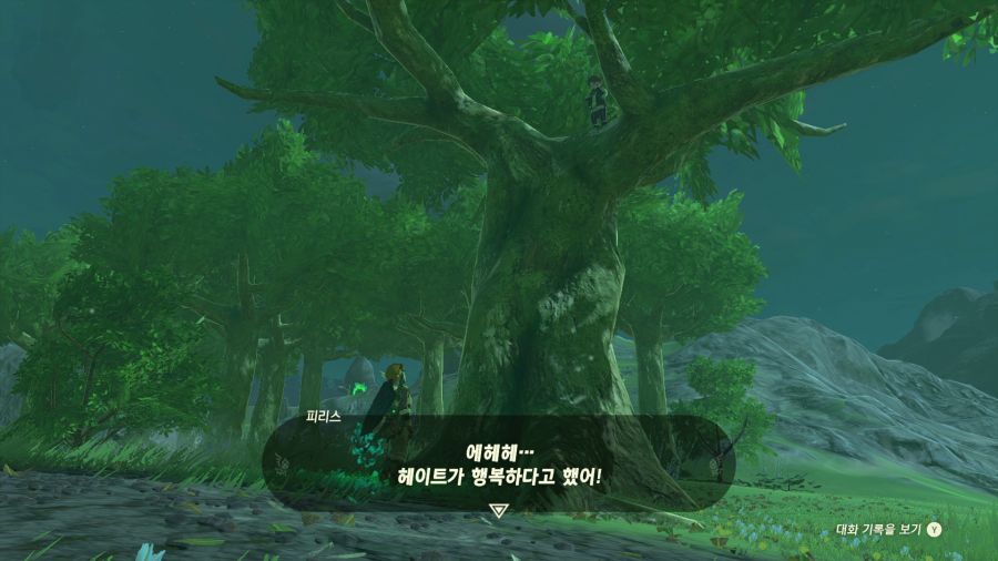 젤다의 전설 티어즈 오브 더 킹덤_9.png