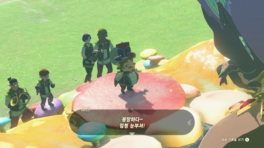 젤다의 전설 티어즈 오브 더 킹덤_28.png