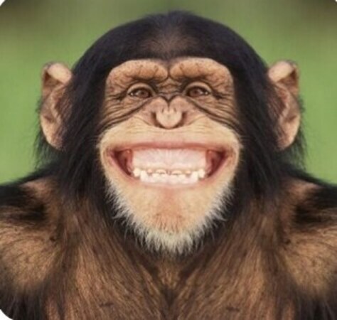 "난 이 영화가 OTT에 공개되는게 싫어"_10.jpg