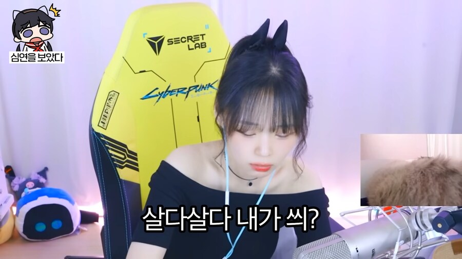 유튜브) 심연의 편린을 들여다 본 새봄추_4.png