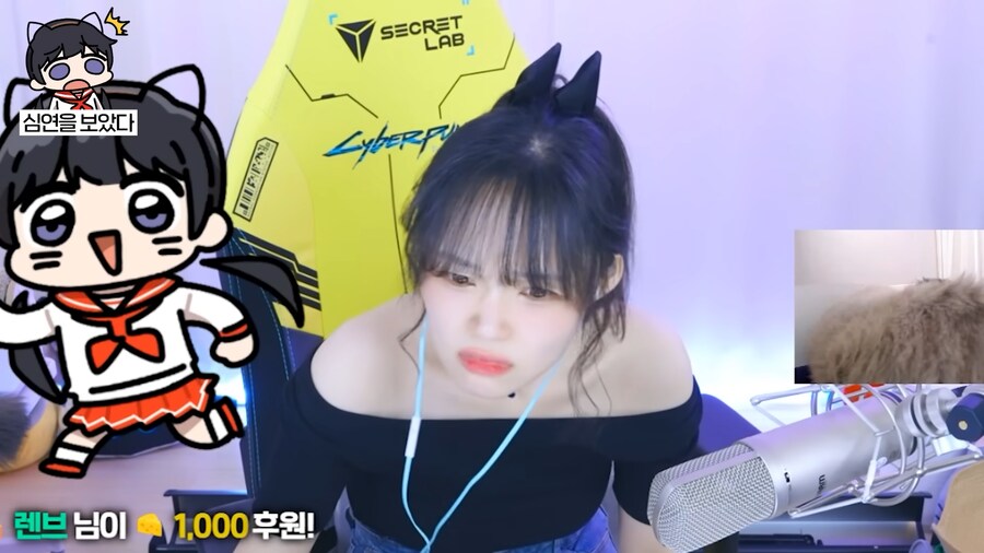 유튜브) 심연의 편린을 들여다 본 새봄추_6.png