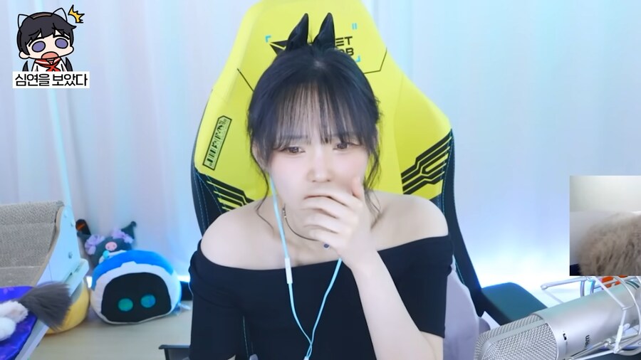 유튜브) 심연의 편린을 들여다 본 새봄추_9.png