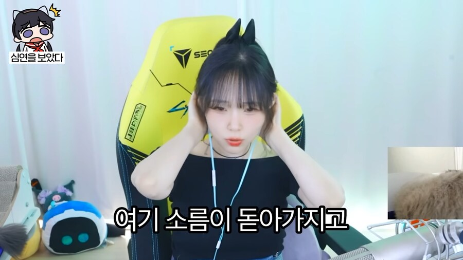 유튜브) 심연의 편린을 들여다 본 새봄추_12.png